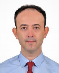 Prof Dr İbrahim SARI